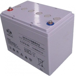 双登蓄电池6-GFM-80（12V80AH）